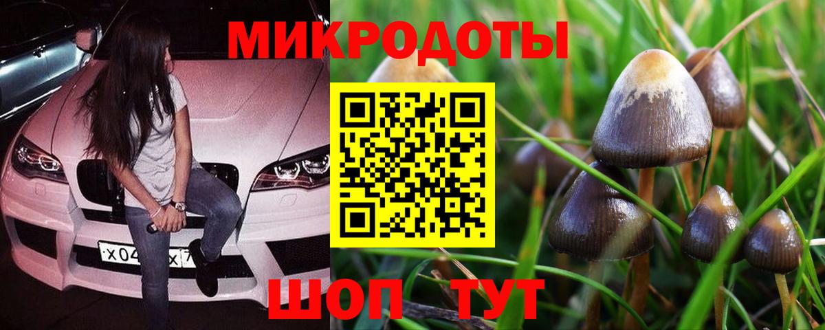 Галлюциногенные грибы ЛСД  Вход с VPN  Гатчина 